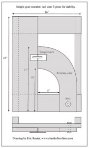 Build a Simple Goat Restraint for Slaughter, Maintenance or Milking Image